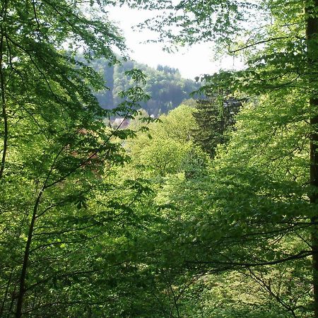 Pension/Bed And Breakfast Pangea Bad Lauterberg Εξωτερικό φωτογραφία