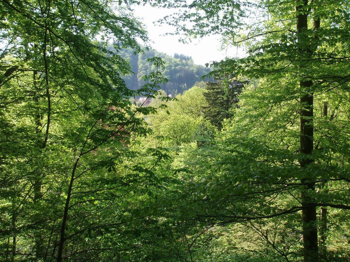 Pension/Bed And Breakfast Pangea Bad Lauterberg Εξωτερικό φωτογραφία