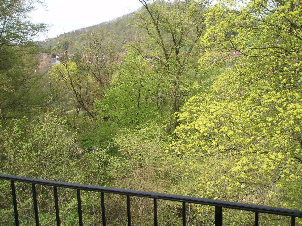 Pension/Bed And Breakfast Pangea Bad Lauterberg Εξωτερικό φωτογραφία
